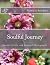 Soulful Journey