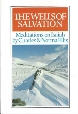 Wells of Salvation (Paperback)