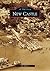 New Castle (Images of America: Delaware)