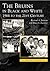 The Bruins in Black and White by Richard A. Johnson