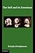 The Self and its Emotions (Studies in Emotion and Social Interaction)