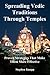 Spreading Vedic Traditions Through Temples: Proven Strategies That Make Them More Effective