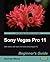 Sony Vegas Pro 11 Beginner's Guide