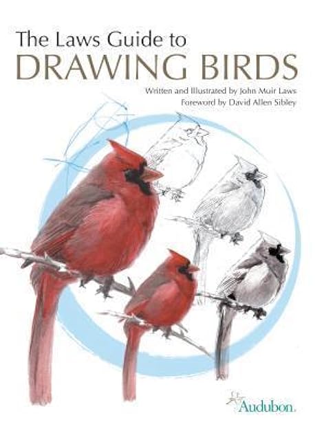 The Laws Guide to Drawing Birds