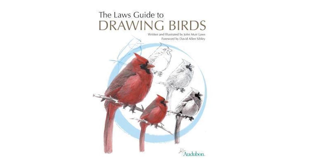 The Laws Guide to Drawing Birds by John Muir Laws