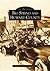 Big Spring and Howard County (Images of America: Texas)