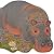 Hippo (Pocket Pals)