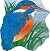 Pocket Kingfisher (Pocket Pals Ser)