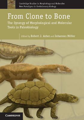 From Clone to Bone: The Synergy of Morphological and Molecular Tools in Palaeobiology (Cambridge Studies in Morphology and Molecules: New Paradigms in Evolutionary Bio, Series Number 4)