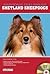 Shetland Sheepdogs