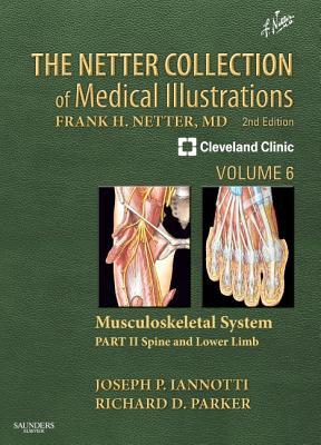 The Netter Collection of Medical Illustrations: Musculoskeletal System, Volume 6, Part II - Spine and Lower Limb (Netter Green Book Collection)