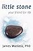 Little Stone: Your Friend for Life