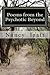 Poems from the Psychotic Beyond