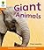 Giant Animals