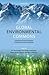 Global Environmental Commons: Analytical and Political Challenges in Building Governance Mechanisms