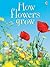How Flowers Grow (Usborne Beginners) by Emma Helbrough