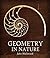 Geometry in Nature: Exploring the Morphology of the Natural World Through Projective Geometry
