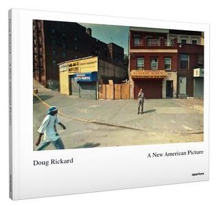 A New American Picture (Hardcover)