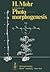 Lectures on Photomorphogenesis
