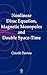 Nonlinear Dirac Equation, Magnetic Monopoles and Double Space-time