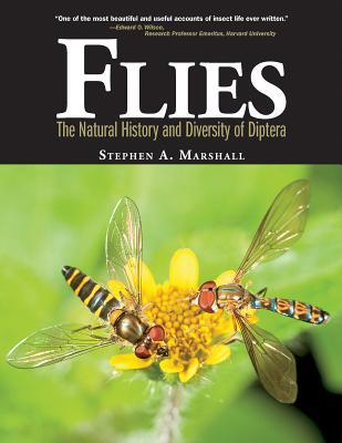 Flies: The Natural History and Diversity of Diptera (Hardcover)
