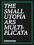 The Small Utopia by Charles Esche