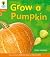 Grow a Pumpkin by Claire Llewellyn