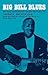 Big Bill Blues: Big Bill Broonzy's Story as Told to Yannick Bruynoghe