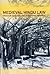 Medieval Hindu Law: A Study of Post-Smrti Changes in Hindu Law