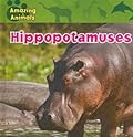 Hippopotamuses