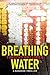 Breathing Water (Poke Rafferty Mystery, #3)
