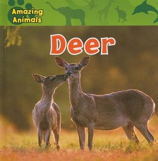 Deer (Amazing Animals)