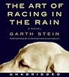 The Art of Racing in the Rain by Garth Stein