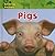Pigs (Amazing Animals)