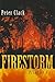Firestorm: Trial by Fire