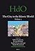 The City in the Islamic World