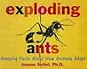 Exploding Ants Challenge Trade Book Grade 4: Harcourt School Publishers Storytown (Rdg Prgm 08/09/10 Wt)