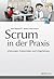 Scrum in der Praxis: Erfahrungen, Problemfelder und Erfolgsfaktoren