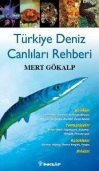 Türkiye Deniz Canlıları Rehberi (Paperback)