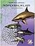 Türk Sularında Köpekbalıkları