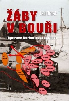 Žáby v bouři