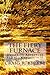 The Fiery Furnace (Dayspring Adventure, #2)