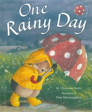One Rainy Day (Little Hedgehog #3)