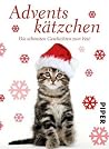 Adventskätzchen: Die schönsten Geschichten zum Fest Adventskätzchen: Die schönsten Geschichten zum Fest