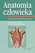 Anatomia człowieka. Podręcznik dla studentów i lekarzy.