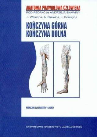 Kończyna górna, kończyna dolna (Anatomia prawidłowa człowieka, #1)