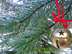 Celebrating Winter Solstice (Kindle Edition)