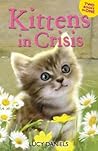 Kittens in Crisis...
