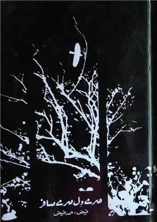 Meray Dil Meray Musafir