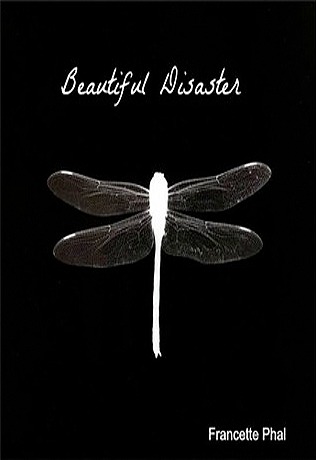 Beautiful Disaster (The Bet, #1)